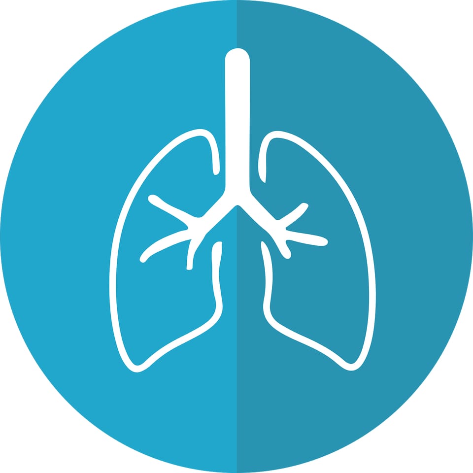 lungs-outline-on-blue-background
